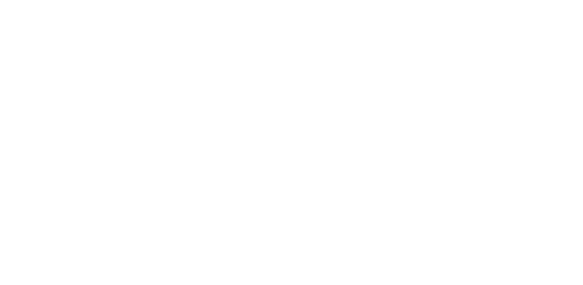 Camai Footer Logo